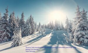 Jõulukaart pühadesooviga ja ettevõtte tervitusega